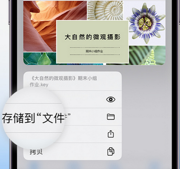 矿区apple维修中心分享iPhone文件应用中存储和找到下载文件