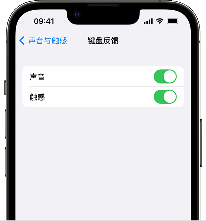 矿区苹果14维修分享iPhone 14 系列机型如何开启键盘声音或触感反馈 
