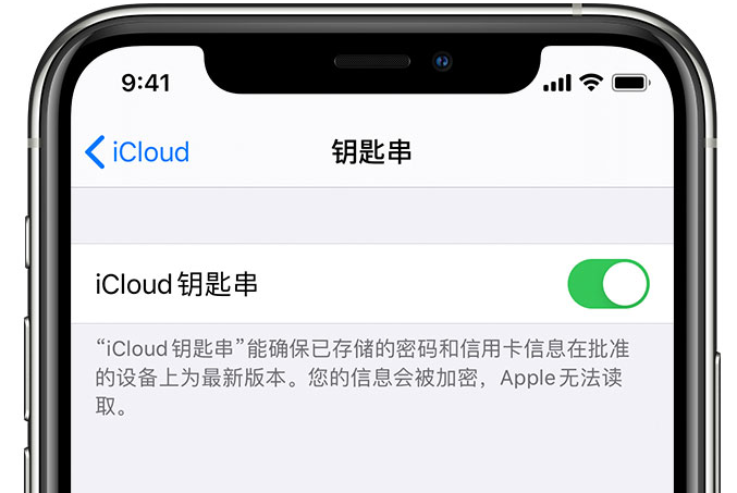 矿区苹果手机维修分享在 iPhone 上开启 iCloud 钥匙串之后会储存哪些信息 