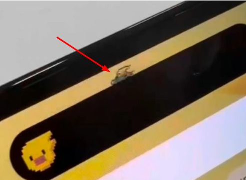 矿区苹果14维修分享iPhone 14 Pro Max灵动岛怎么养宠物 