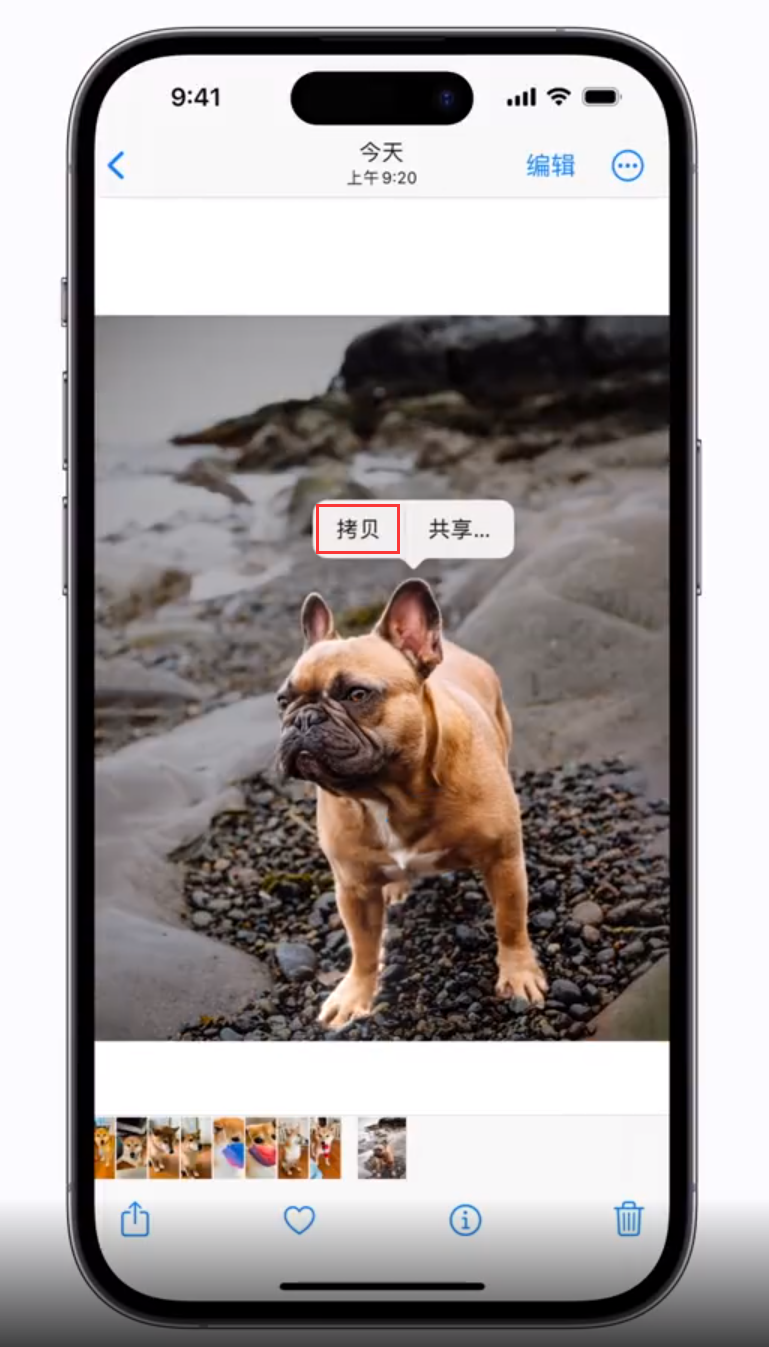 矿区苹果手机维修分享 iOS 16 自带一键抠图功能 