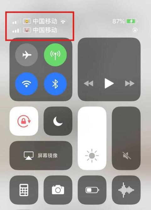 矿区苹果手机维修分享为 iPhone 12 双卡设置标签 